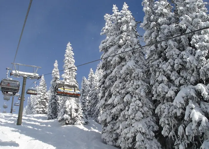 Haus Daniel Schartner *