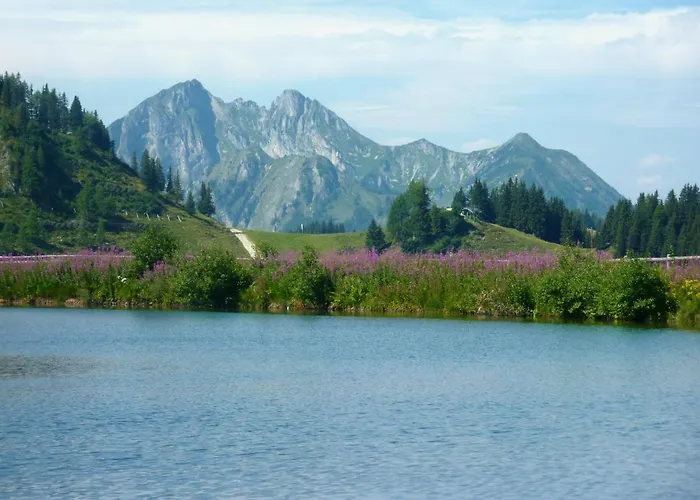 Haus Daniel Schartner クライナル